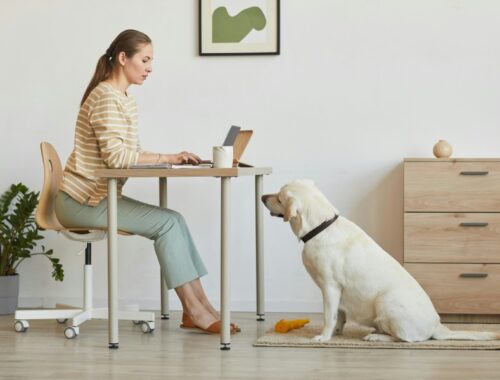 save money on prescriptions