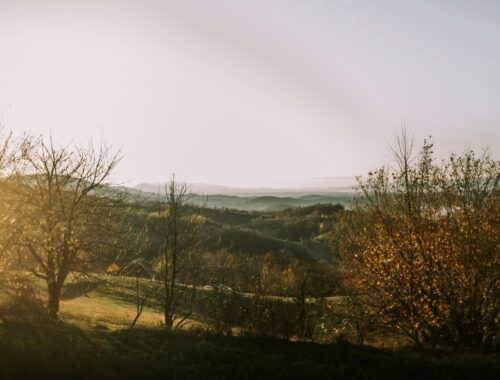 biosimilar medications